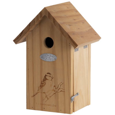 Nido Pajaros Silueta Herrerillo Azul